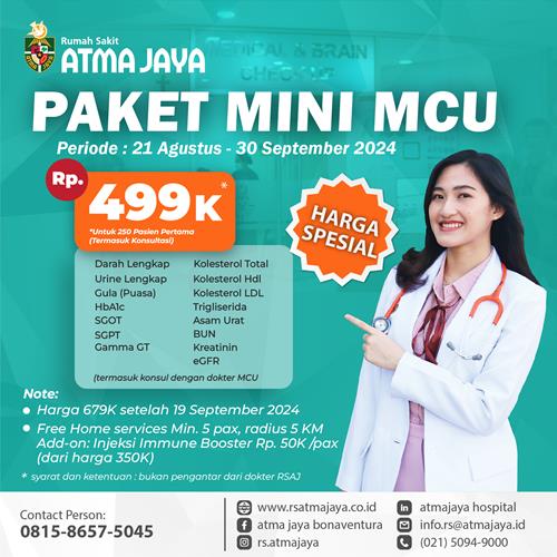 Paket MCU Mini